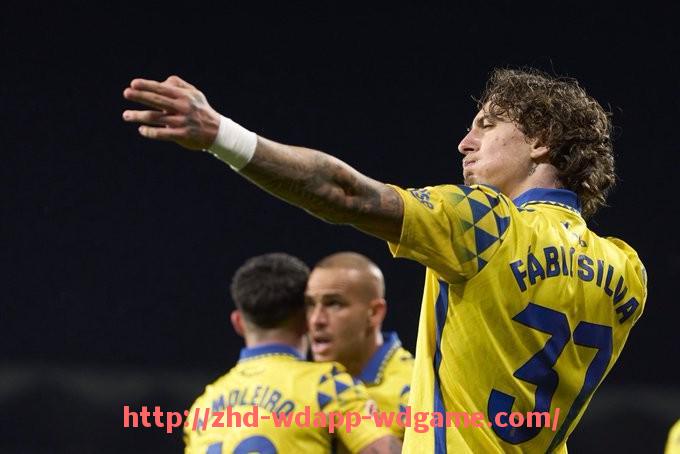 问鼎娱乐官网-火箭队护框中锋位置球员分析及技术特点剖析