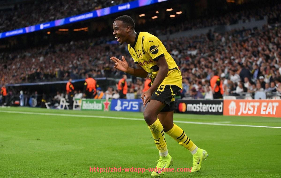 问鼎娱乐官网-德甲获得欧冠冠军的球队及辉煌历史回顾